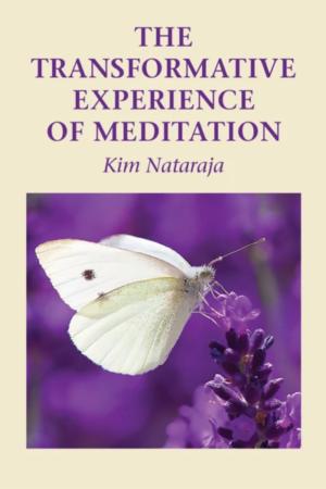The Transformative Experience of Meditation